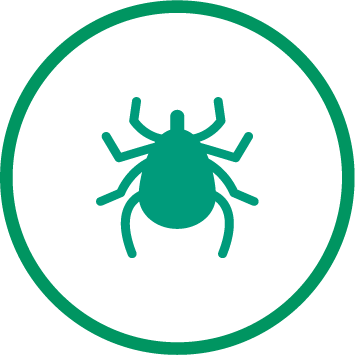 אייקון קרצייה